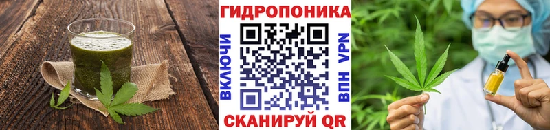 даркнет как зайти  Кострома  Canna-Cookies марихуана  хочу наркоту 