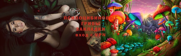 шишки Покровск