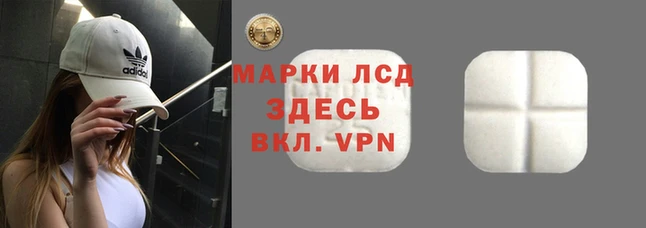 гидропоника Переславль-Залесский