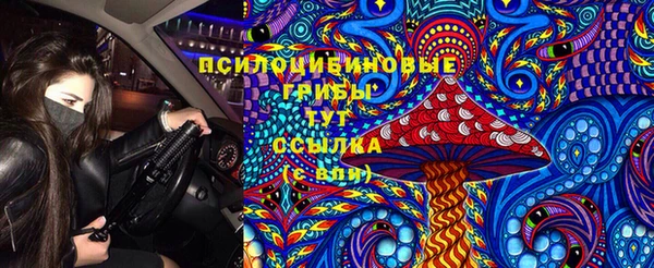 твердый Пестово