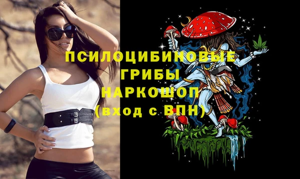 шишки Покровск