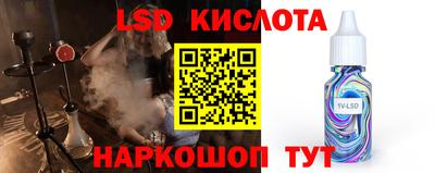 ешки Кингисепп