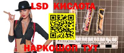 ешки Кингисепп