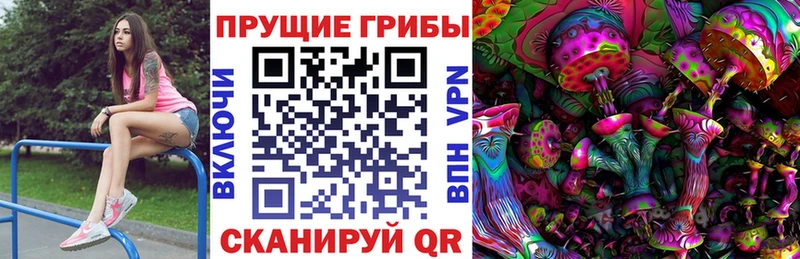 наркошоп  Кострома  Галлюциногенные грибы GOLDEN TEACHER 
