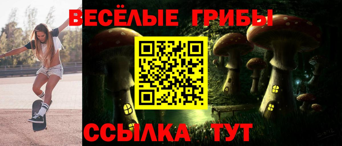 Галлюциногенные грибы GOLDEN TEACHER Кострома