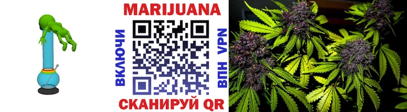 blacksprut   где купить   Кострома  Марихуана сатива 